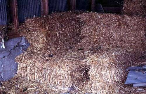 Straw Bale Gardening - Rural Messenger