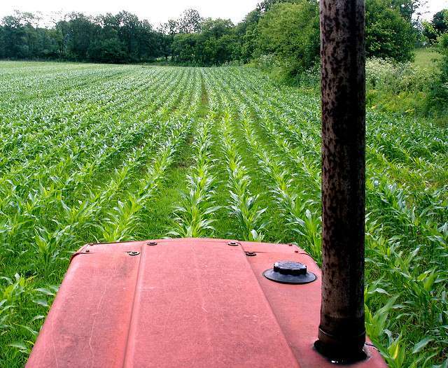 driving tractor