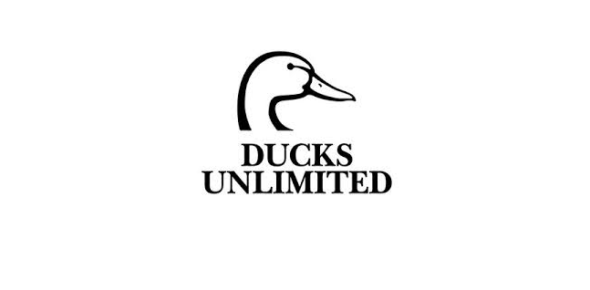 du logo