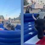 mechanical bull